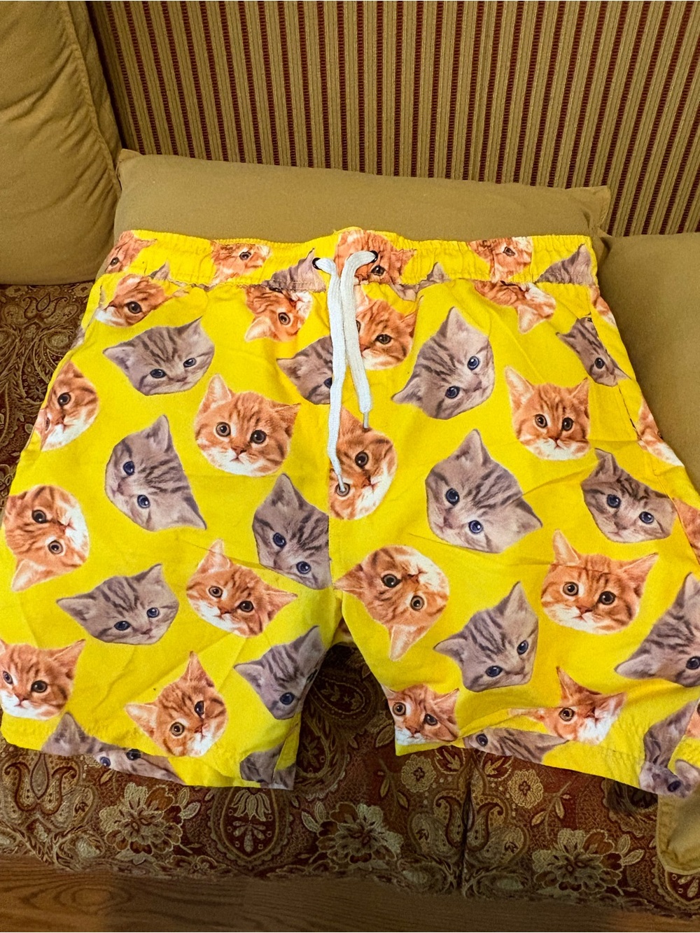 Black matter, hot topic, yellow cat swim trunks 2XL